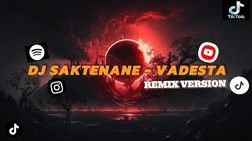 DJ - Saktenane - VADESTA OFFICIAL VIRAL TIKTOK!!! Sliramu paling tak sayang ( Remix Version