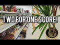 TWO FOR ONE SCORE AT GOODWILL! THRIFTING FOR MY HOME + STYLED THRIFT HAUL!