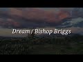 Bishop Briggs - Dream (Lyrics)