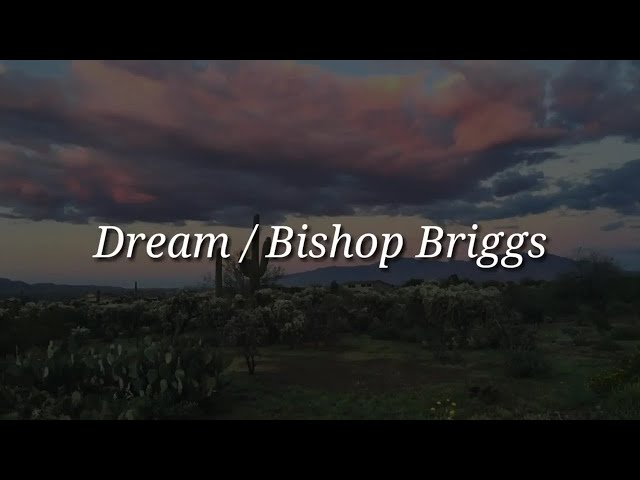 Bishop Briggs - Dream (Lyrics) class=