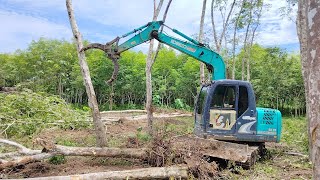 ดุดันสุดๆ เล็กพริกขี้หนู KOBELCO SK75-8 ล้มไม้ยางพารา 7 ไร่