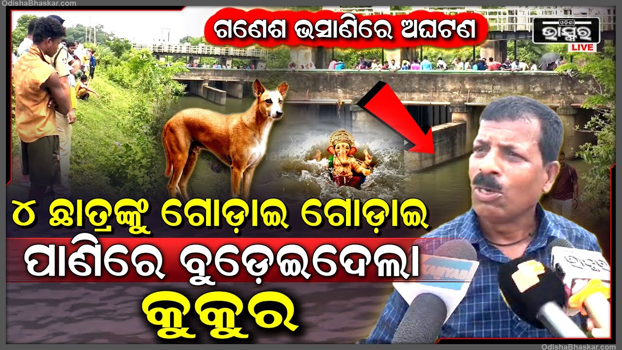 ଗଣେଶ ମୂର୍ତ୍ତି ବିର୍ସଜନ କରୁ କରୁ ଗୋଡାଇଲା କୁକୁର, କୁକୁର ଭୟରେ ଧାଇଁ ପଳେଇବା ବେଳେ ୪ ଛାତ୍ର...
