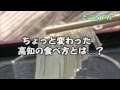 【高知県】高知家ええもん動画（ところてん）