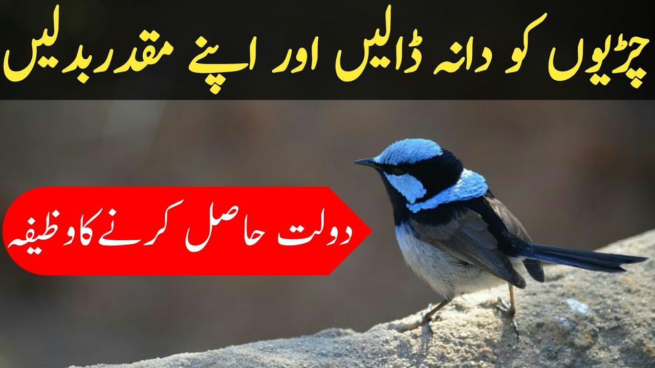 2 Time parindoun ko Dana dalain dolat apke ghar ana Shuru ho jay Gi |