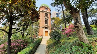 蔡幸娟 - 情難枕