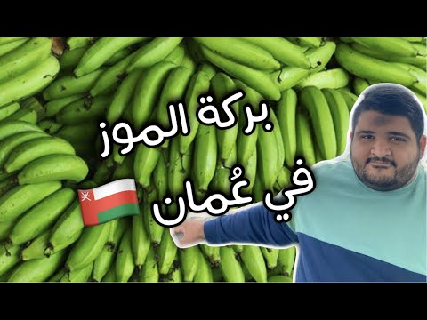 بركة الموز سلطنة عمان