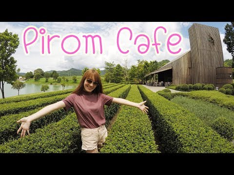 เที่ยวเขาใหญ่ 🍵 ภิรมย์ คาเฟ่ (Pirom Cafe) ท่ามกลางธรรมชาติอันงดงาม