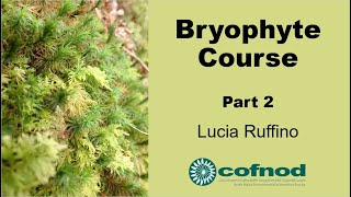 Bryophyte Course Part 2