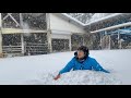 牧場に大雪が降りました