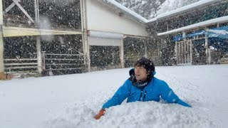 It snowed heavily on the farm - YouTube