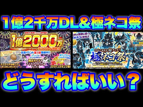 【にゃんこ大戦争】1億2000万DL記念と極ネコ祭の立ち回り攻略
