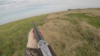 Ibera y Kila, caza de perdices, Colón, Buenos Aires, Argentina 10