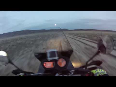 KTM 990 - Dark 30... a rabbit... Raw da Raw
