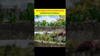 Most popular and trusted security  system in our country #shortvideo #happypharmacistday #pharmac