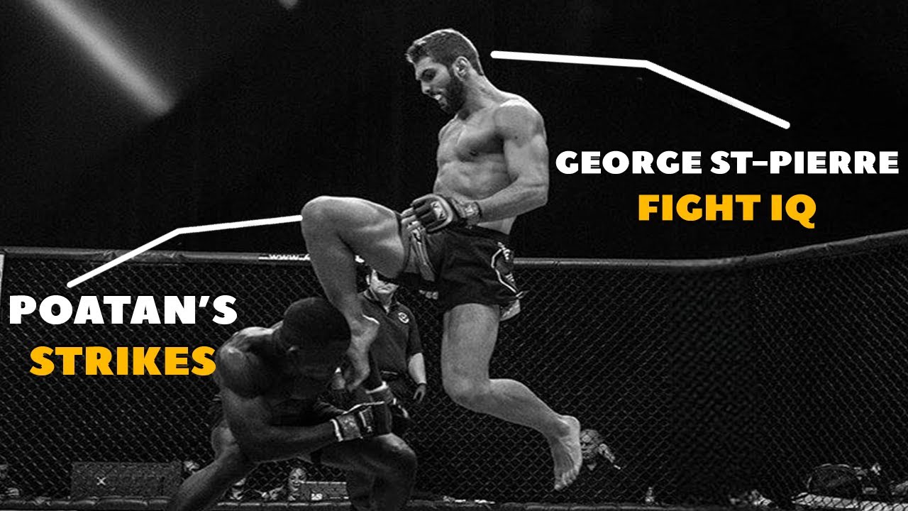 We created the GREATEST MMA Fighter.