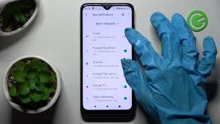 How to Turn On App Notifications on TCL 205? screenshot 5