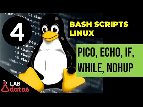 Parte4 Tutorial de Bash Script en Linux: Ciclo while (infinito y con un contador)