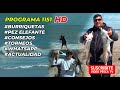 Video Pesca - Programa  1151
