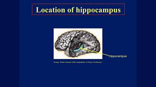 Introduction to Psychology Course MIT Lecture【#11 of 24 | Memory II - Amnesia and Memory Systems】