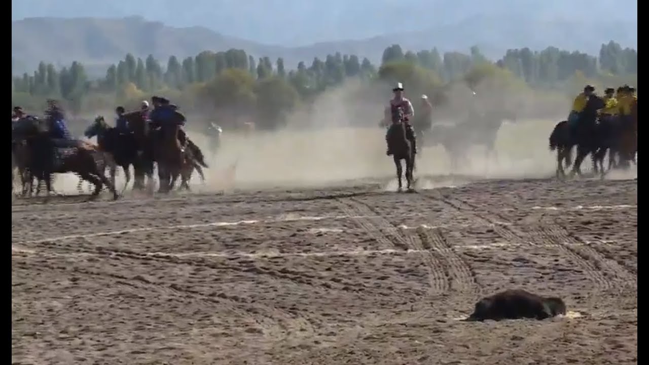 КӨК-БӨРҮ | ЖАРЫМ ФИНАЛ | ТАЛАС - ЧҮЙ