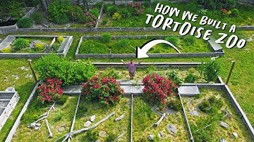 ULTIMATE TORTOISE GARDEN (Our Backyard Sanctuary)