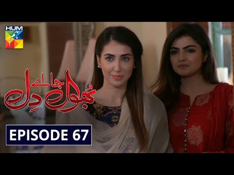 Bhool — Episode 67