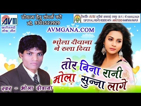 भोला दीवाना-CHHATTISGARHI SONG-तोर बीना रानी-NEW HIT CG LOK GEET-HD VIDEO 2017-AVM STUDIO 9301523929