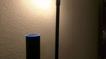 Amazon Echo and Wink API