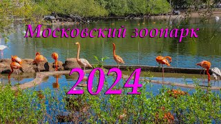 :   - 2024.