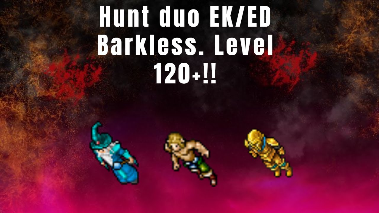Tibia hunt duo EK e ED - Barkless (lvl 120+). Volta 100% explicada ...