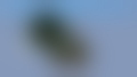 Random SkyBlock part #1