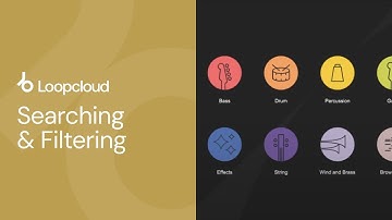 Searching & Filtering in Loopcloud | Loopcloud 101