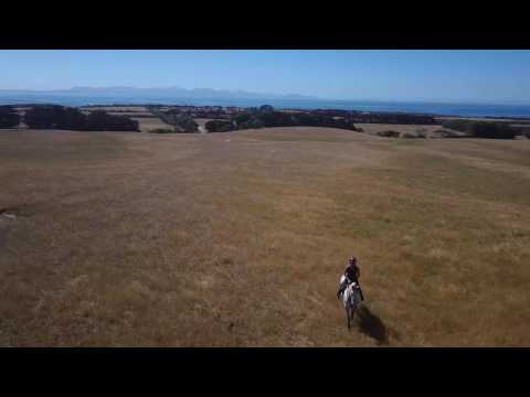 Sophia Landy Equestrian 