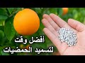 أفضل وقت لتسميد الحمضيات ولماذا أكتوبر هو الأنسب 