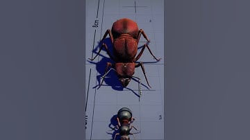 Thumbnail of Ant Queen Size Comparison | #Shorts