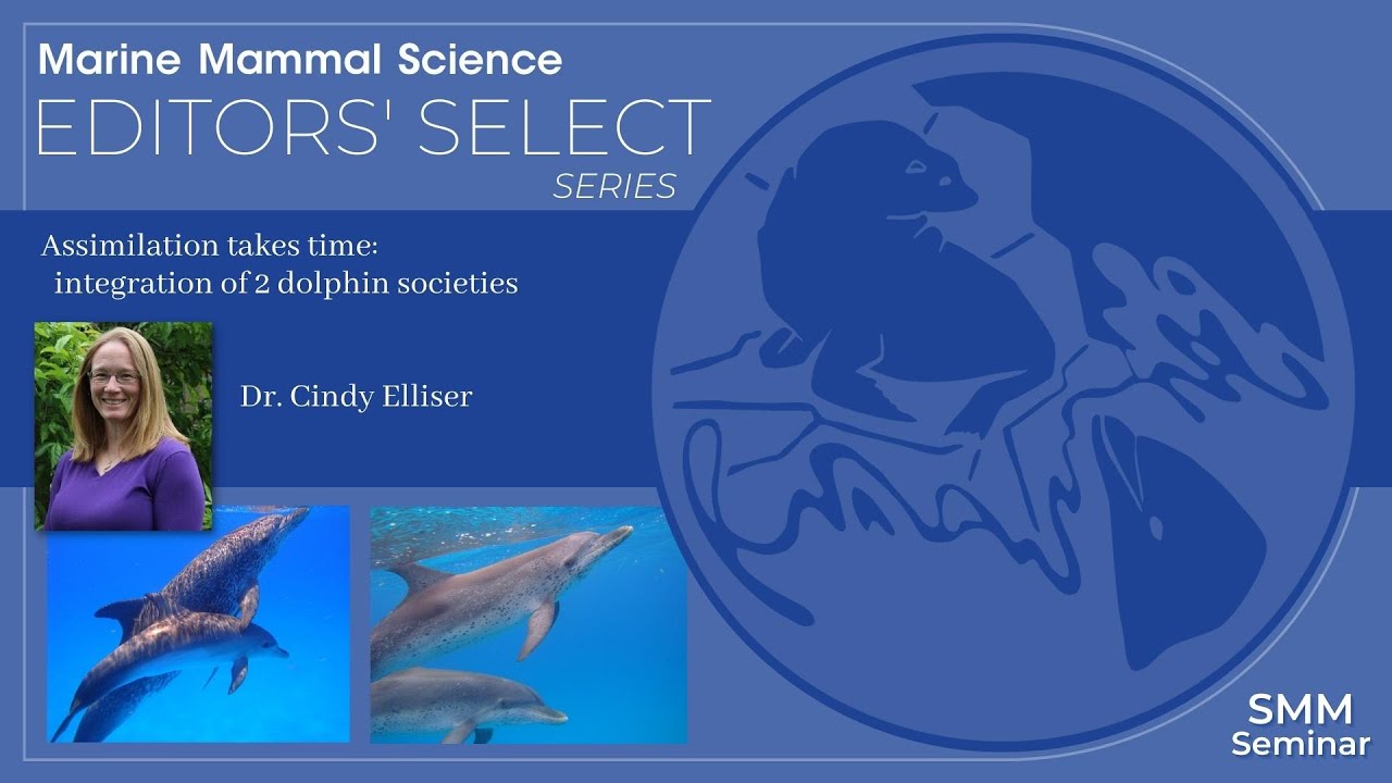 Assimilation takes time: integration of 2 dolphin societies with Dr. Cindy Elliser