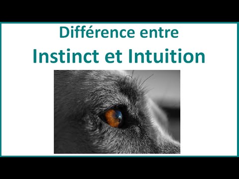 Vidéo: Différence Entre Instinct Et Intuition