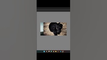 Image Slider in HTML, CSS & JavaScript #astechmaster #html #css #javascript #shortsfeed