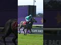 NORTH POINT with back-to-back wins! How easy was this win?