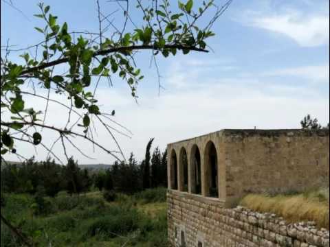 بلدتي الحبيبه بيت جيز قضاء الرمله