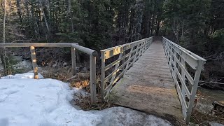 Trans Canada Trail Deadfall clean up