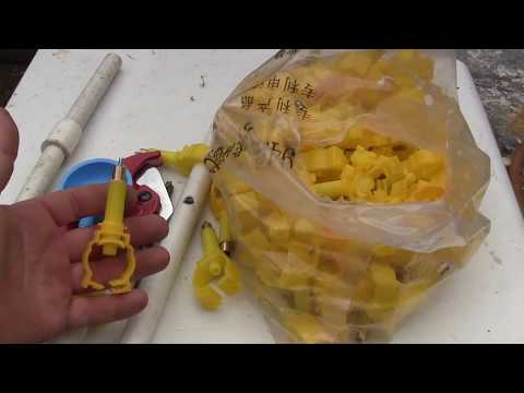 ჩამოვიტანე ბოცვერის საინტერესო ნიპელები