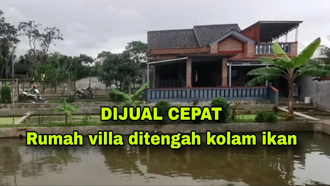 DIJUAL RUMAH DI TENGAH KOLAM IKAN CANTIK CINANGNENG BOGOR #rumahdijual #tanahdijual #sahabatpakbro 