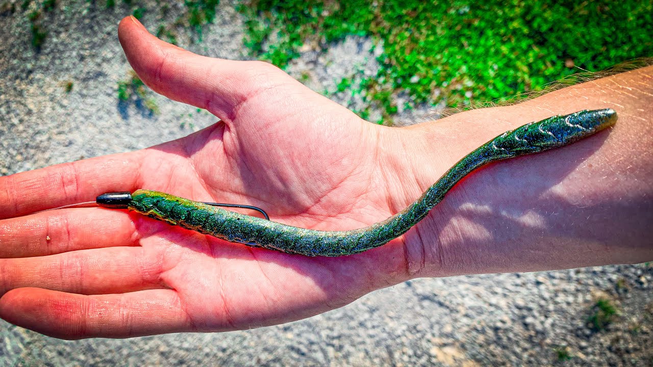 Fishing with BIG WORMS for Summer Bass!!!