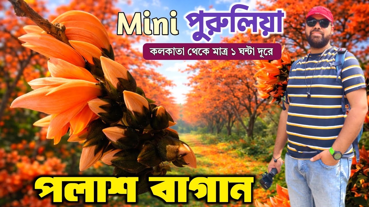 Belur Palash Bagan | কলকাতার কাছেই পলাশ ফুলের | Palash Garden Belur | One Day Tour Near Kolkata 