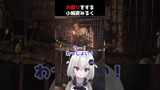神崎308の最新動画