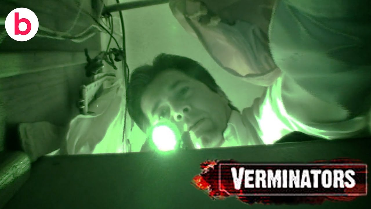 Verminators: Series 1 Episode 7 | FULL EPISODE