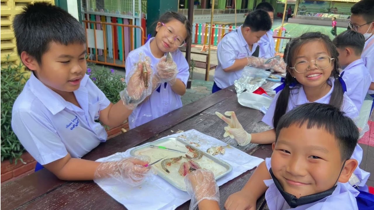 VTR โรงเรียนอนุบาลเชียงใหม่