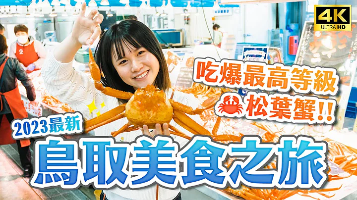 2023鳥取松葉蟹美食之旅🚗鳥取砂丘、高級松葉蟹、大漁市場、大山紅葉、三朝溫泉、砂場咖啡｜關西鳥取自由行・日本旅遊4K VLOG - 天天要聞
