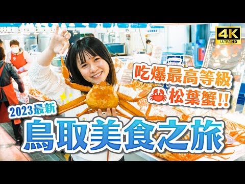 鳥取松葉蟹美食之旅🚗鳥取砂丘、高級松葉蟹、大漁市場、大山紅葉、三朝溫泉、砂場咖啡｜關西鳥取自由行・日本旅遊4K VLOG